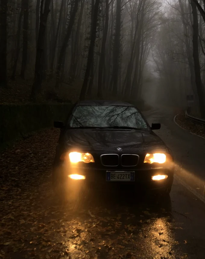 Shadow — l'auto con i fari accesi nella nebbia del bosco